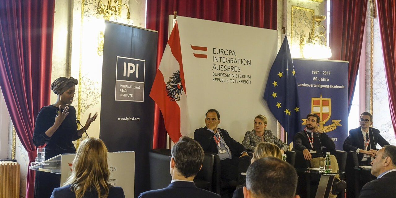 Talk and panel discussion at IPI's 2017 Vienna Seminar